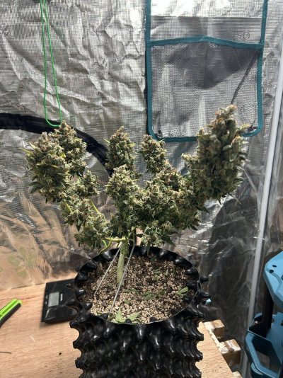 2024 ONE GALLON CHALLENGE PHOTO SUBMISSION TOPIC