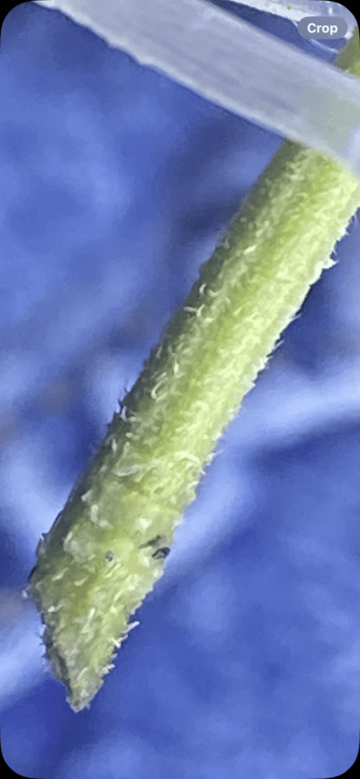 IMG_2571.png