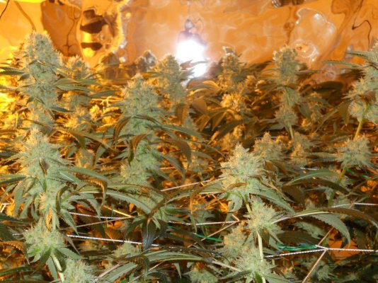 10-21-11 021.JPG