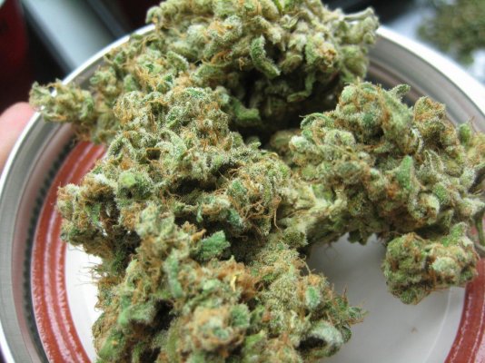 Ooo That Smell! Train Wreck x (Cheese x AWW) Test.