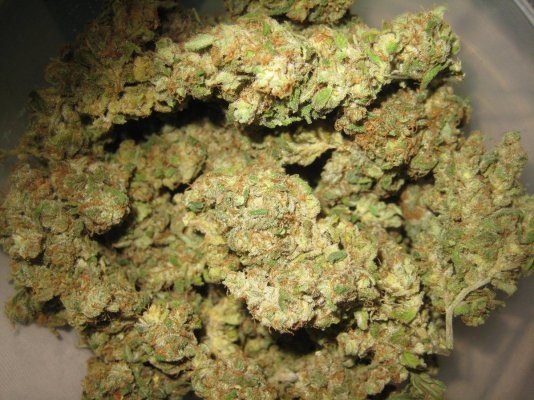 Ooo That Smell! Train Wreck x (Cheese x AWW) Test.