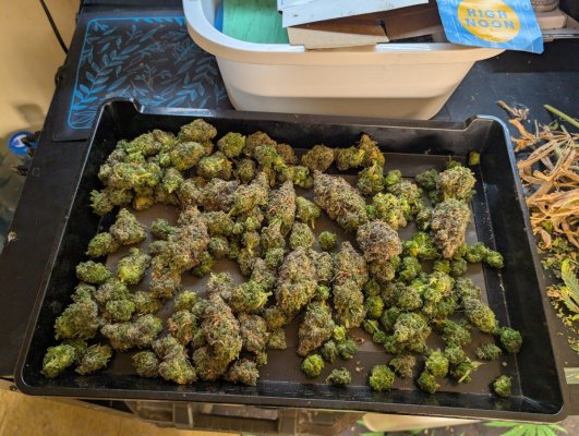 THE TRAINWRECK. Brought to you by thcfarrmer…..