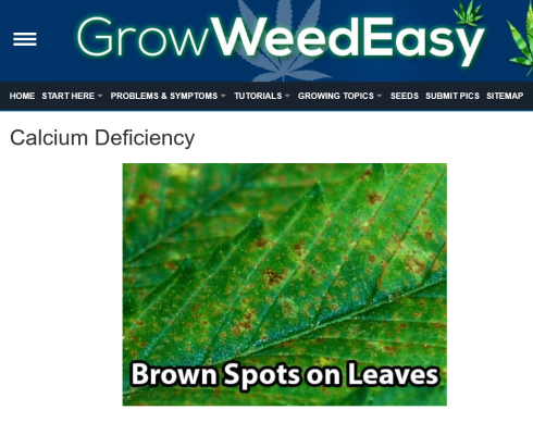 Screenshot 2024-12-15 at 00-09-33 How to fix Cannabis Calcium Deficiency (Ca) Pics & Symptoms.png