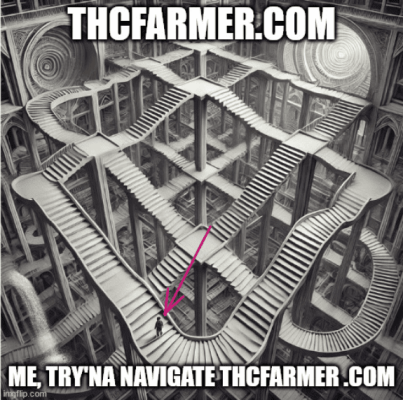 Screenshot 2024-12-15 at 22-43-35 Meme Generator - Imgflip.png