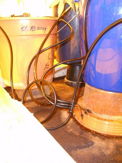 PICT1460.JPG