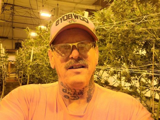Sexing my grow at 21 days old