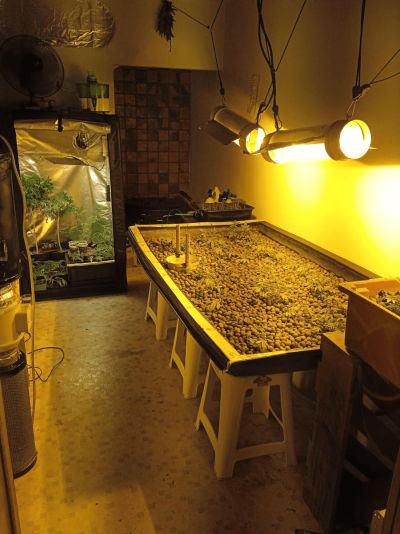 My DIY Hidro setup in Brazil