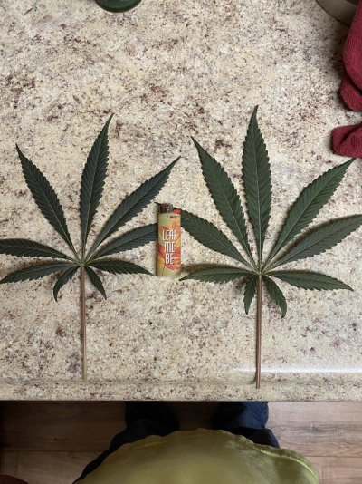 From Friends At The Farm