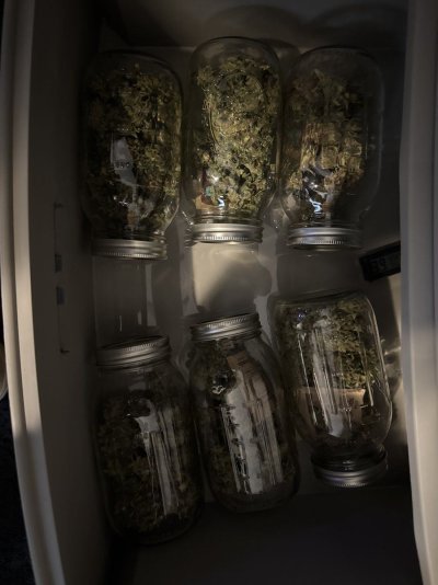 what-to-do-with-so-much-bud.jpg