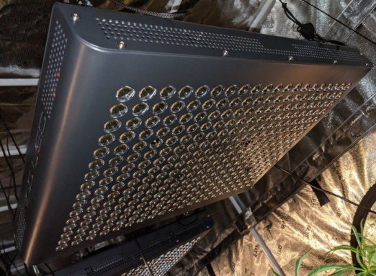 2-k5-kind-led-1000w-complete-5x9-grow-room-setup-everything-you-need-to-get-started.jpg