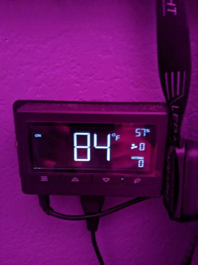 2-k5-kind-led-1000w-complete-5x9-grow-room-setup-everything-you-need-to-get-started-7.jpg