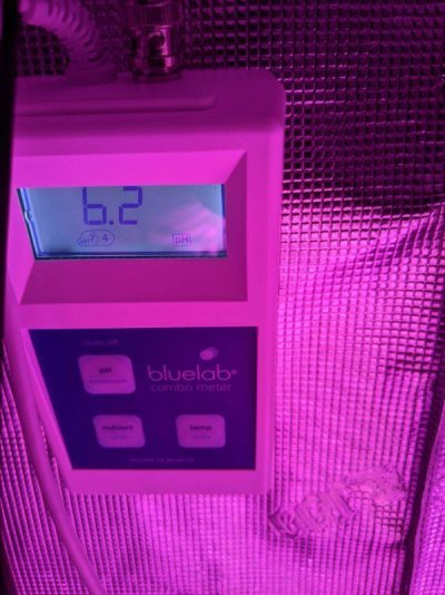 2-k5-kind-led-1000w-complete-5x9-grow-room-setup-everything-you-need-to-get-started-8.jpg