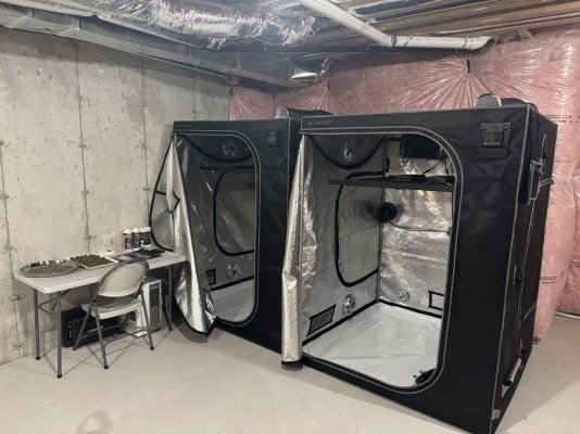 5x5 ac infinity grow tents for sale package deal 2000$