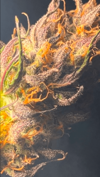 Week4Bytch ..The Cannabis Karen