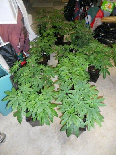 babies 11-3-11 013.JPG