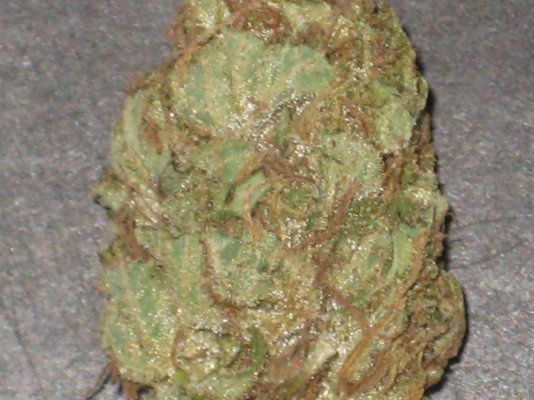 grand-doggy-purps-smoke-report-2.jpg