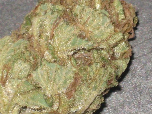 grand-doggy-purps-smoke-report-3.jpg