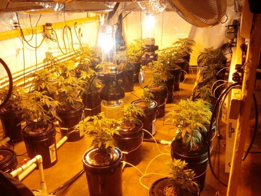 diy-undercurrent-32x5-gal-7000-watt-watercooled-vertical-lights-4.jpg