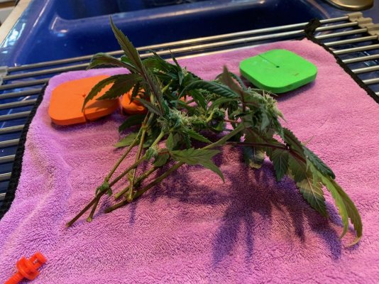 THE TRAINWRECK. Brought to you by thcfarrmer…..