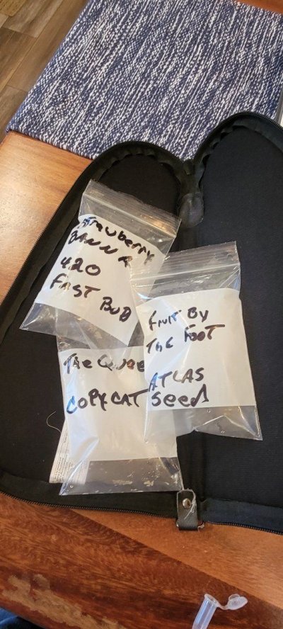 time-to-start-some-more-seeds-3.jpg
