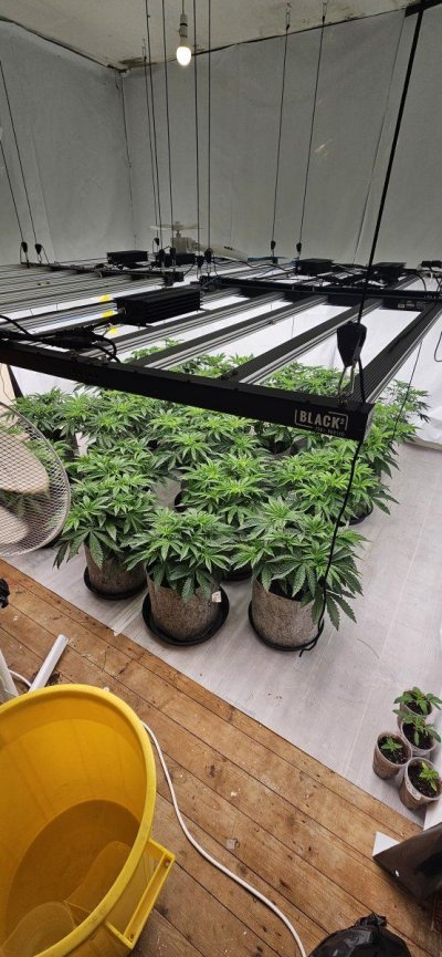 new-to-led-lights-all-help-welcomed.jpg