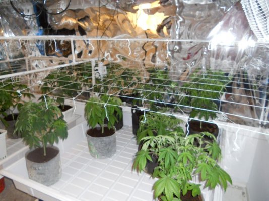 11-11-11 new round 007.JPG