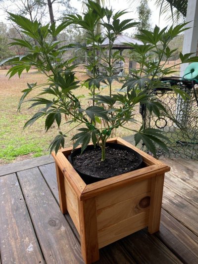 From Friends At The Farm