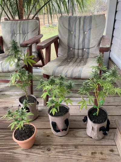 From Friends At The Farm