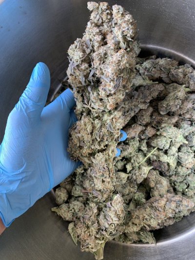 My next hydro grow. Cap’n Kush Berries. A bag seed.