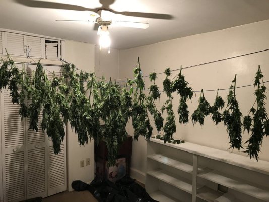 Anybody want a roommate? Outdoor grower. Ohio or virginias? Anywhere?