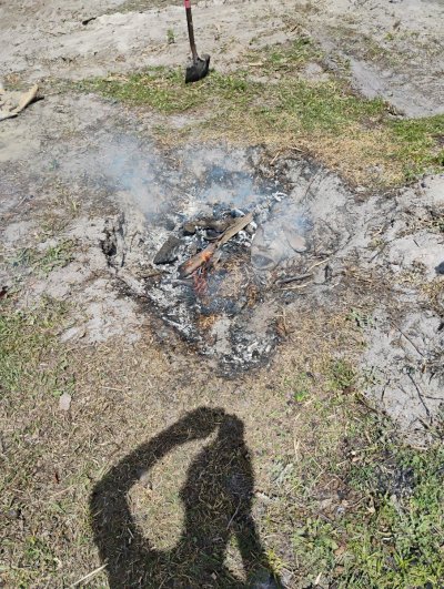 Biochar addition to soil, anybody?
