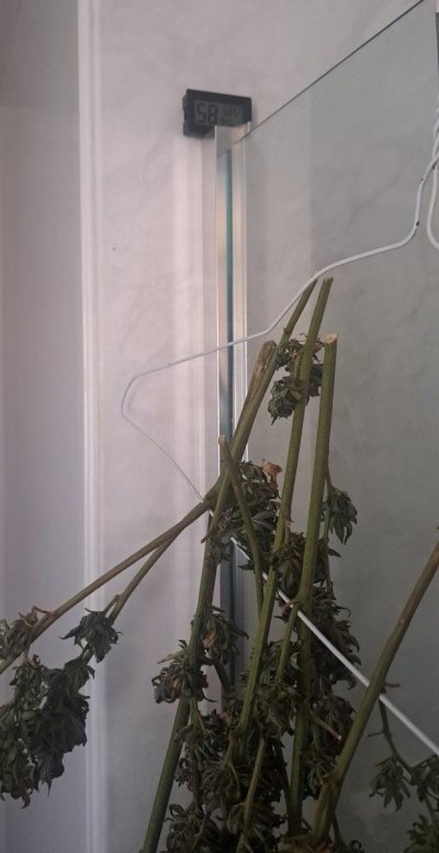 20250319_132415.jpg