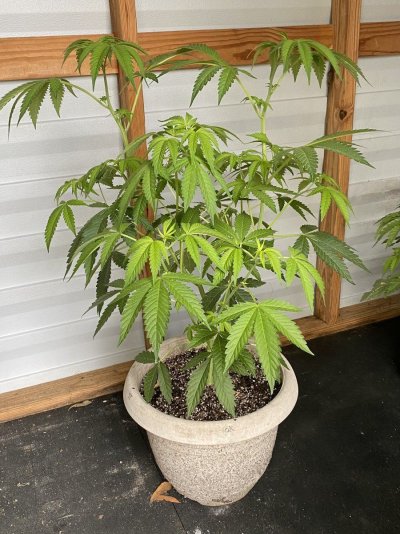 From Friends At The Farm
