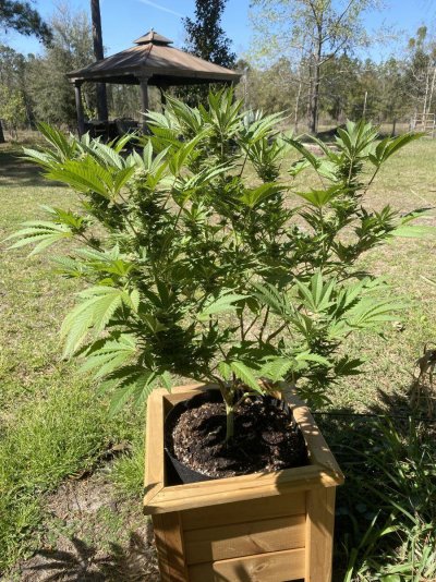 From Friends At The Farm