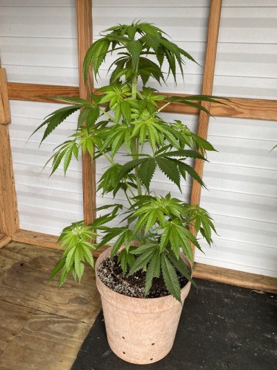 From Friends At The Farm