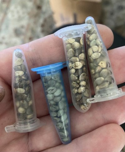 From Friends At The Farm