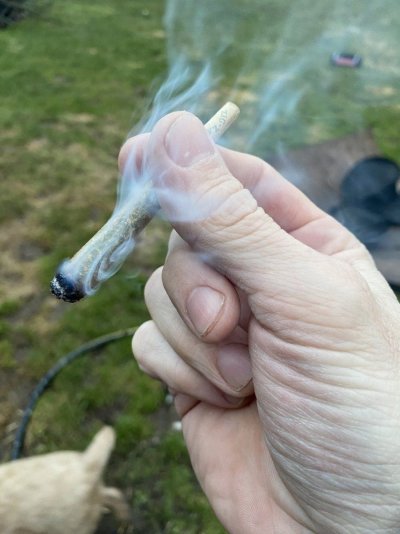 IMG_7439.jpeg