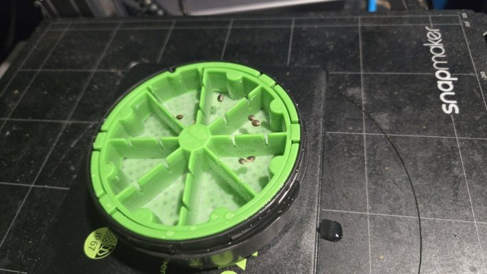 Custom CC RDWC+Co2+More in a 10*10 Room
