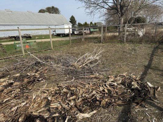 Jimmies 2025 East coast crappy weed grow