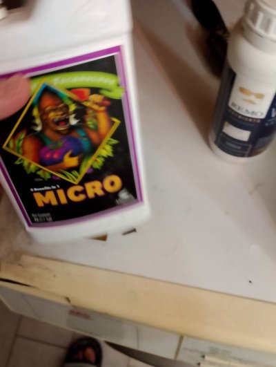 Are these gonna pull threw?
