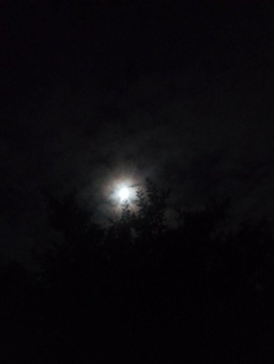 IMG_20250507_233537719.jpg