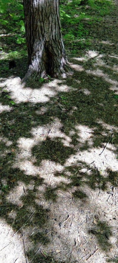 20250508_141231.jpg