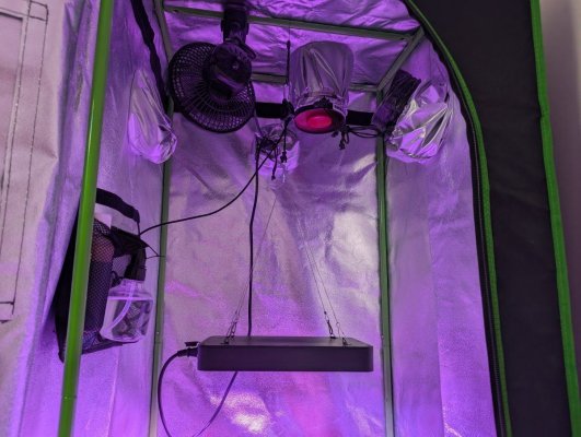 1st-time-grow-newb-help-appreciated-14.jpg