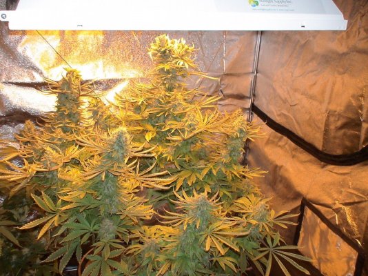 December 13, 2011 001.JPG