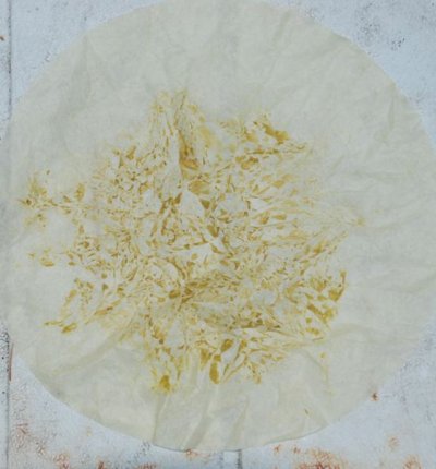 Filtered waxes after freezing.jpg