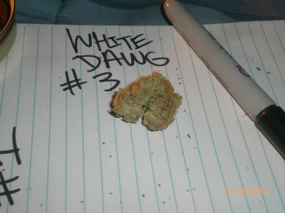 White fires and White dawg from OGONLY