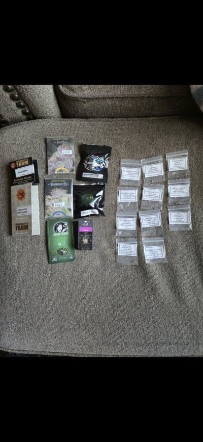 Flo, Blueberry, DJShort, and some signs on Afghan Kush