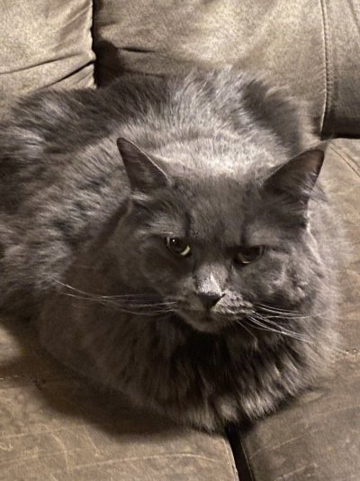 IMG_3879.jpeg