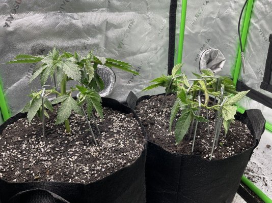 Super Soil Recipe Ideas & Input