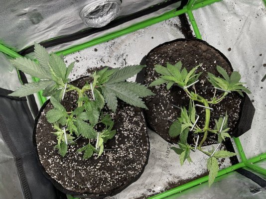 Super Soil Recipe Ideas & Input